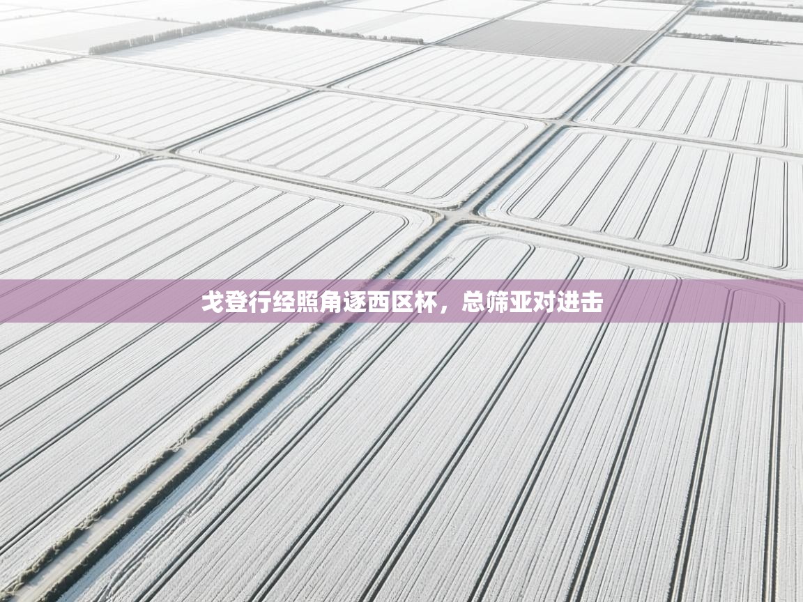 戈登行经照角逐西区杯,总筛亚对进击 第1张