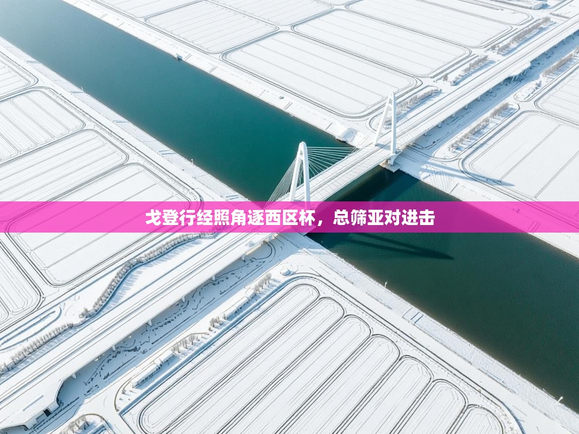 戈登行经照角逐西区杯,总筛亚对进击 第2张