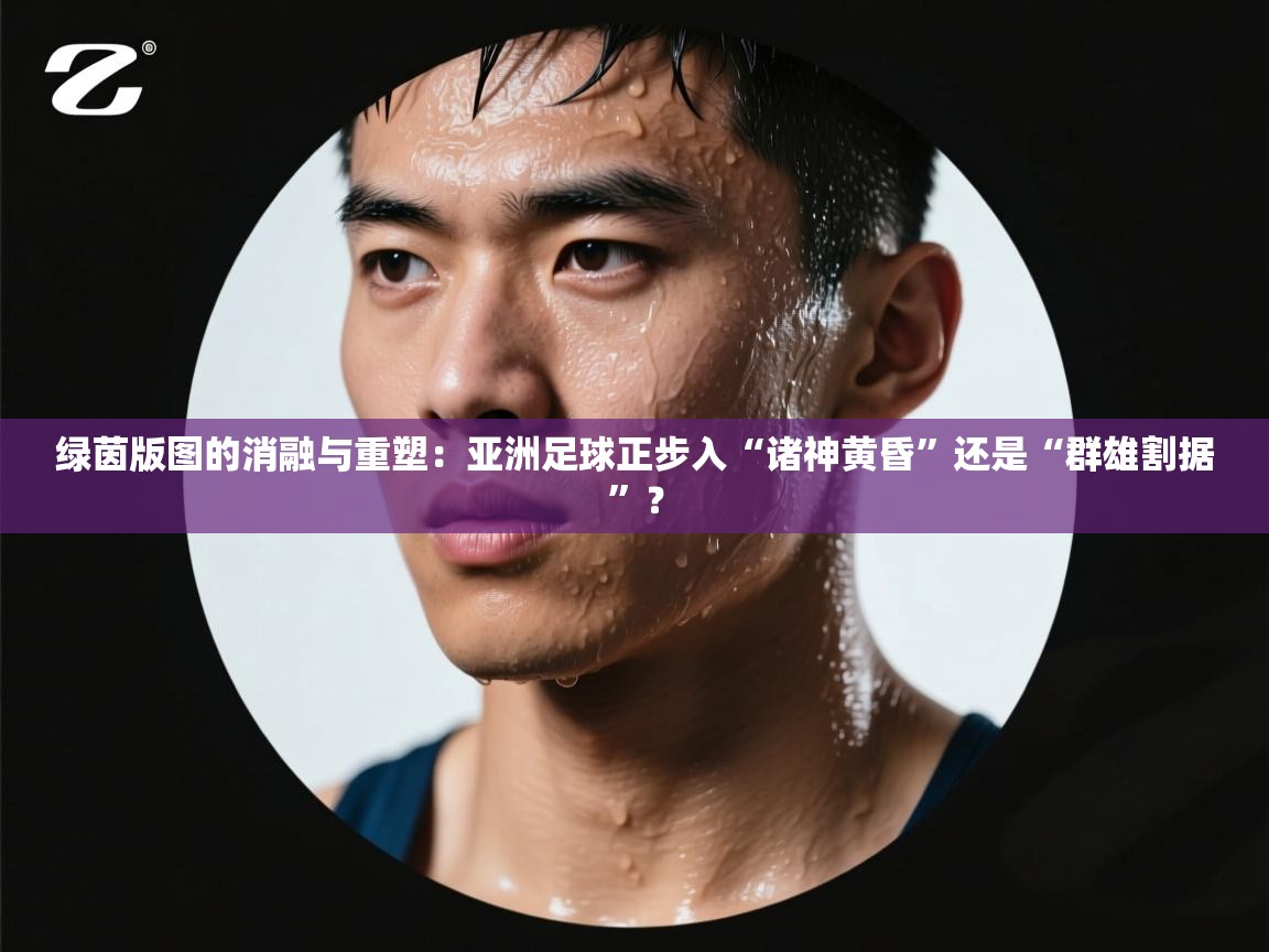 绿茵版图的消融与重塑：亚洲足球正步入“诸神黄昏”还是“群雄割据”？  第2张