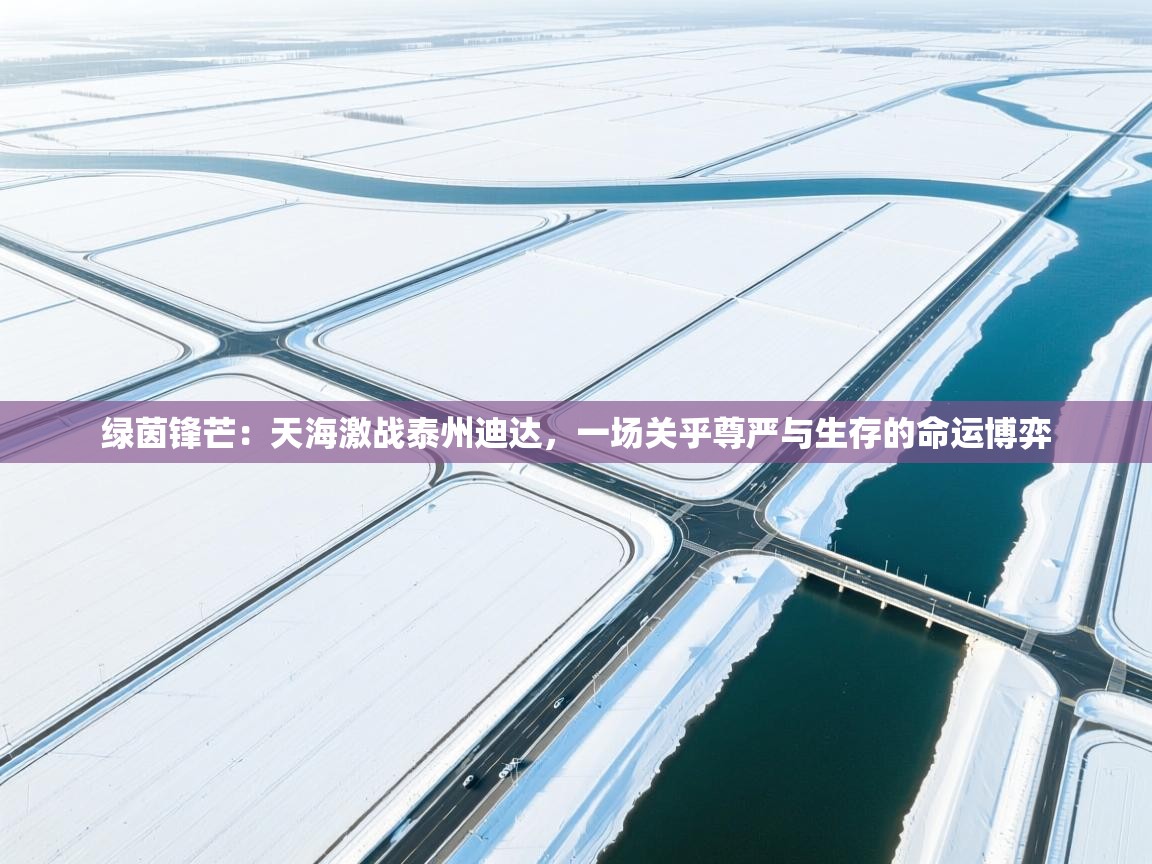 绿茵锋芒：天海激战泰州迪达，一场关乎尊严与生存的命运博弈  第2张